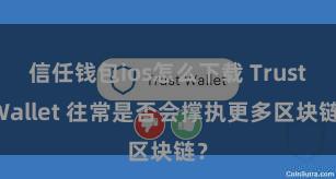 信任钱包ios怎么下载 Trust Wallet 往常是否会撑执更多区块链？