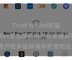 Trust Wallet防盗 Trust Wallet怎么撑抓用户在多链环境中贬责和兑换钞票？