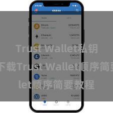 Trust Wallet私钥管理 下载Trust Wallet顺序简要教程